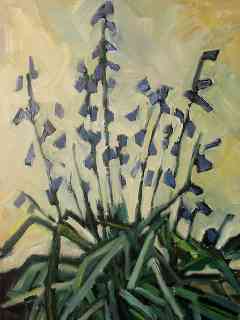 bloemen wilde hyacint