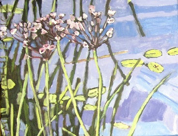 blumen Schwanenblume