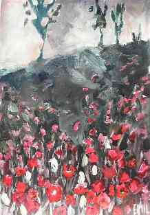 landschaft feld mit klatschrosen